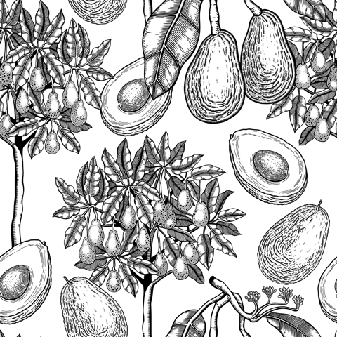 Avocado tree background design. Decorative fruit branches, flowers, whole avocado, cut half piece black outlines. Seamless healthy food pattern. Vector plant illustration for textile or prints